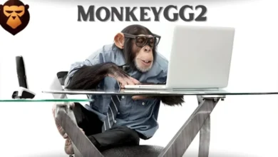 MonkeyGG2