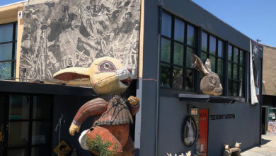 Bunny Museum