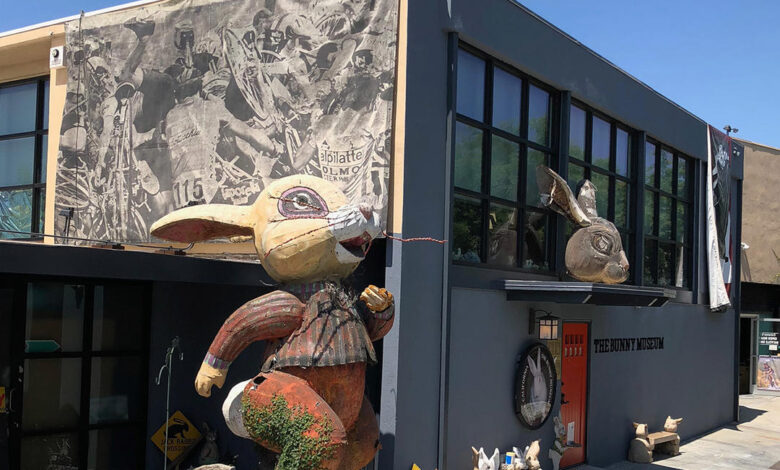 Bunny Museum