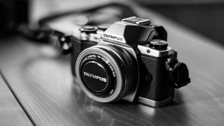 Mirrorless or DSLR: Which Camera Should You Choose? A Complete Comparison Mirrorless or DSLR: Which Camera Should You Choose? A Complete Comparison