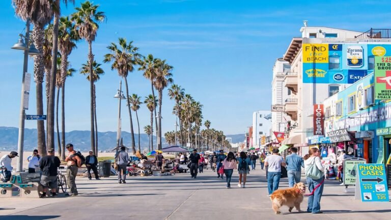 Is Venice Beach Safe? What Tourists Need to Know Is Venice Beach Safe? What Tourists Need to Know