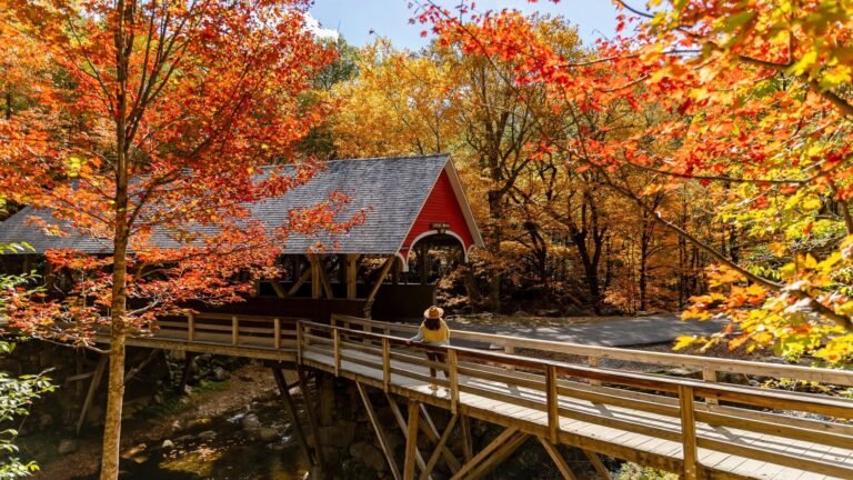 New England Road Trip Itinerary: A Beautiful Fall Foliage Route You’ll Love