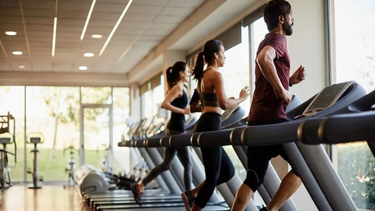Magicline Gym Management Software France Market Share: Key Trends and Market Insights Magicline Gym Management Software France Market Share: Key Trends and Market Insights